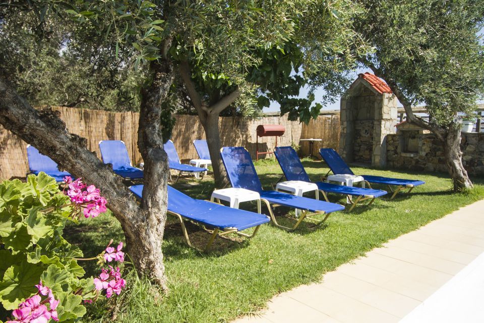 Chania Elaiodendro apartments