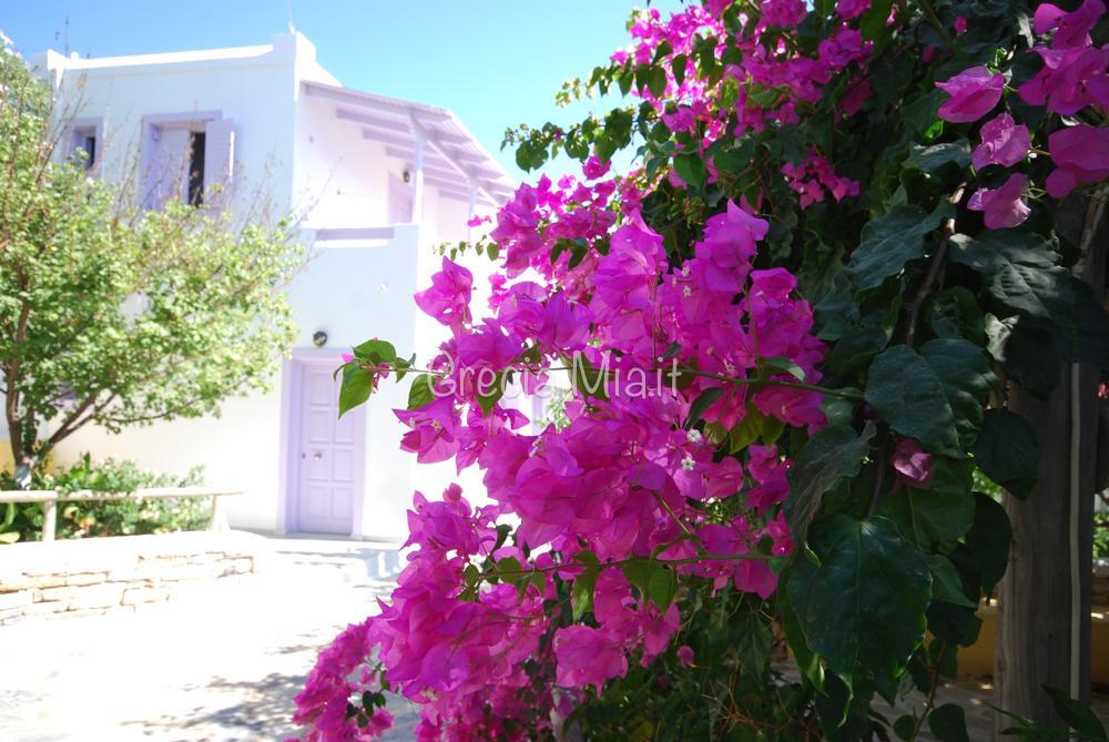 Koufonissi studios in centro