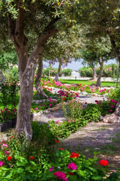 Frangokastello Fata Morgana