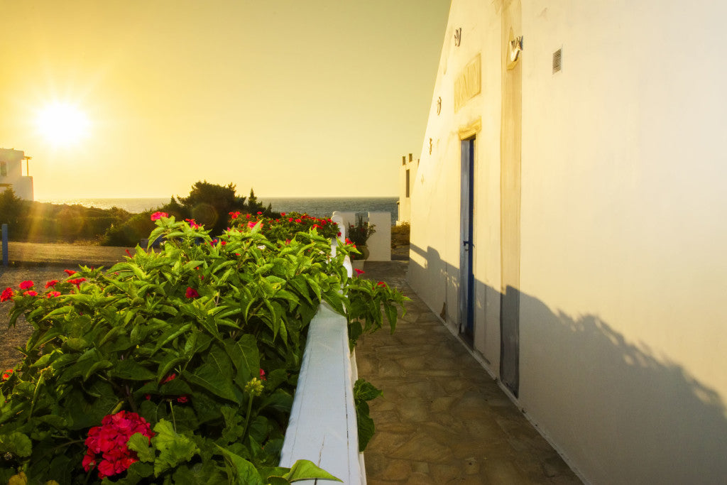 Gli appartamenti di Giorgio - Pollonia