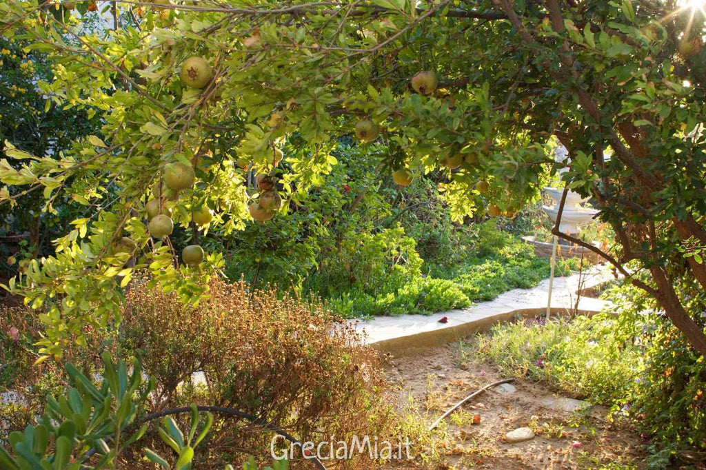 Antiparos appartamenti