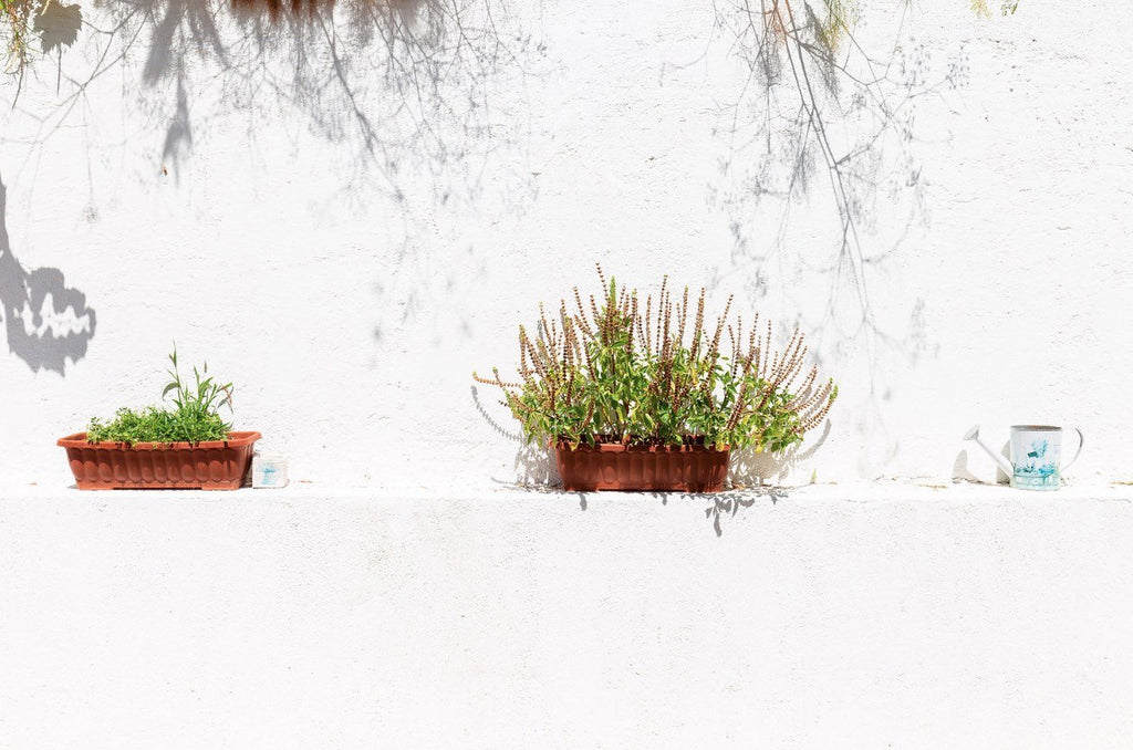 hotel Agios Georgos Corfù