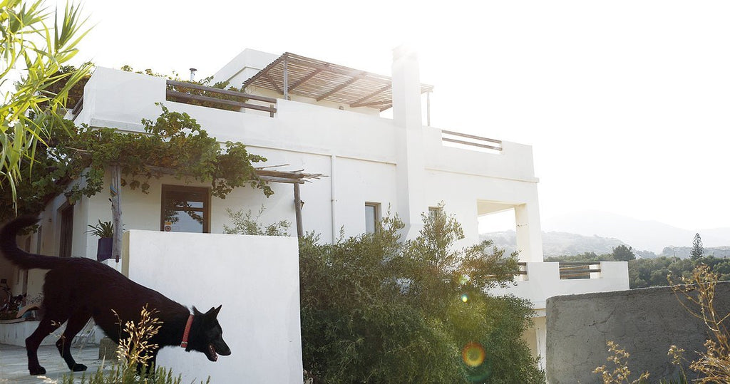 Living in the Sunshine