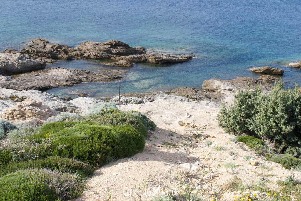 appartamenti sul mare Ikaria