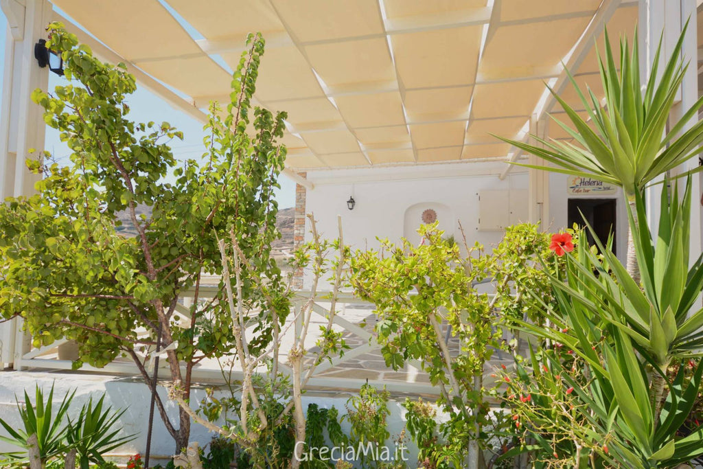 Ios camere in affitto