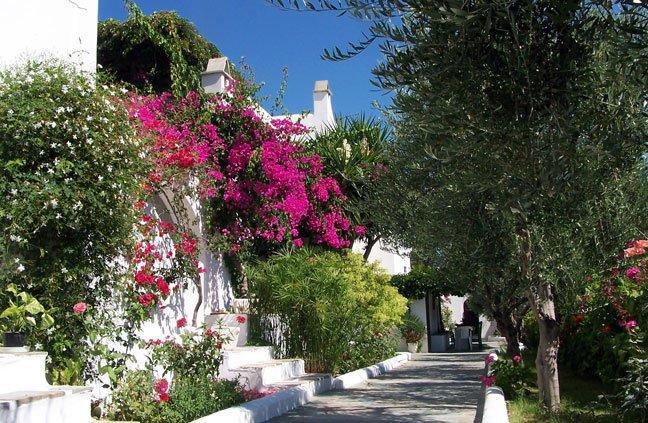 Parikia Paros studios