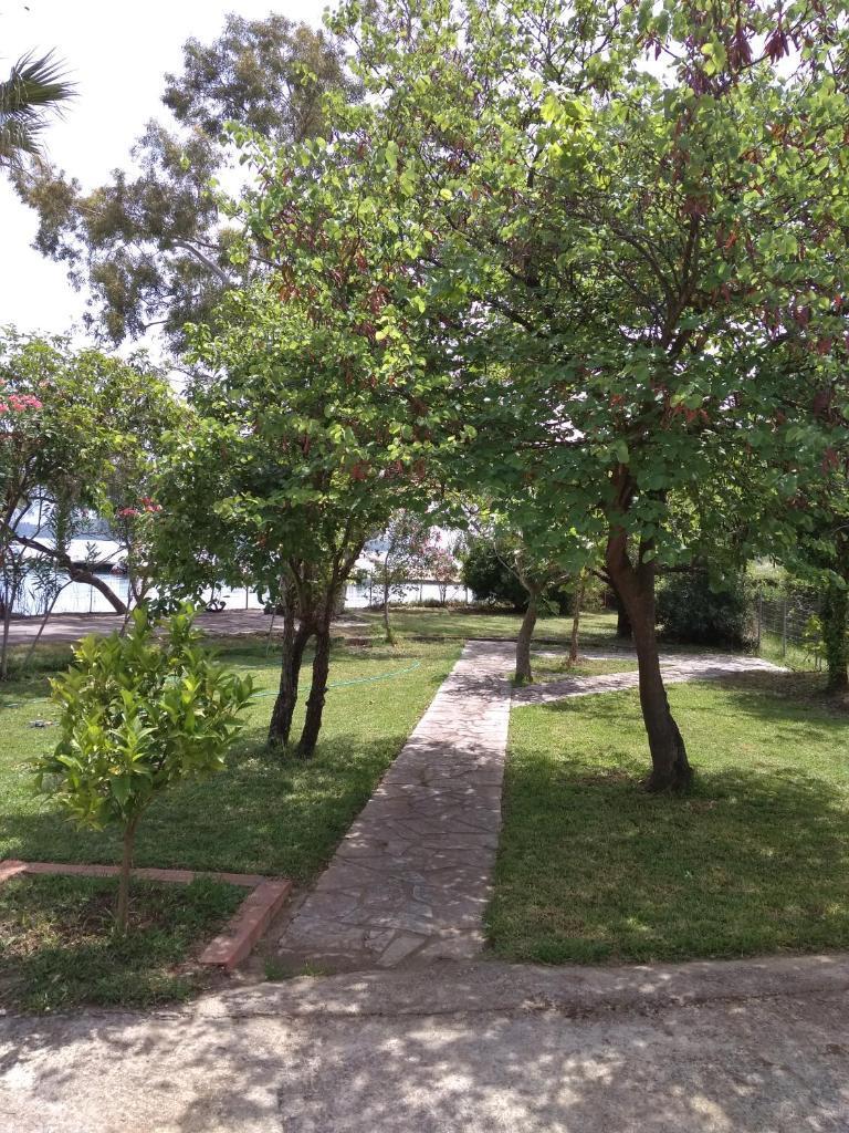 Palmyra Beachfront Studios