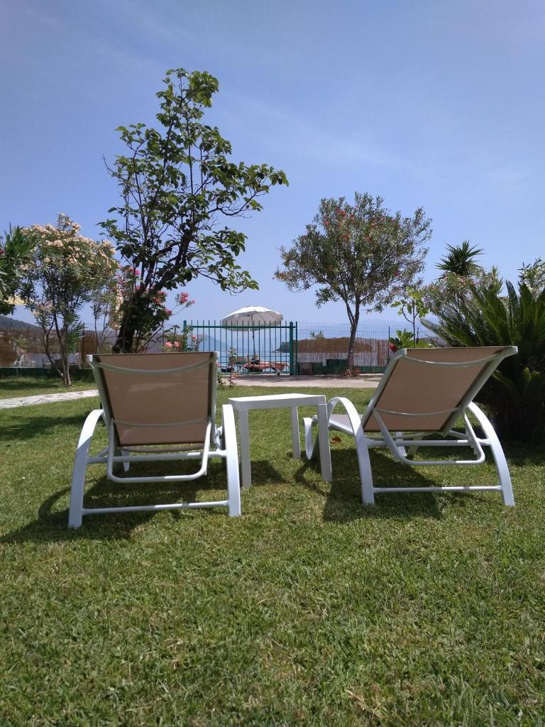 Palmyra Beachfront Studios