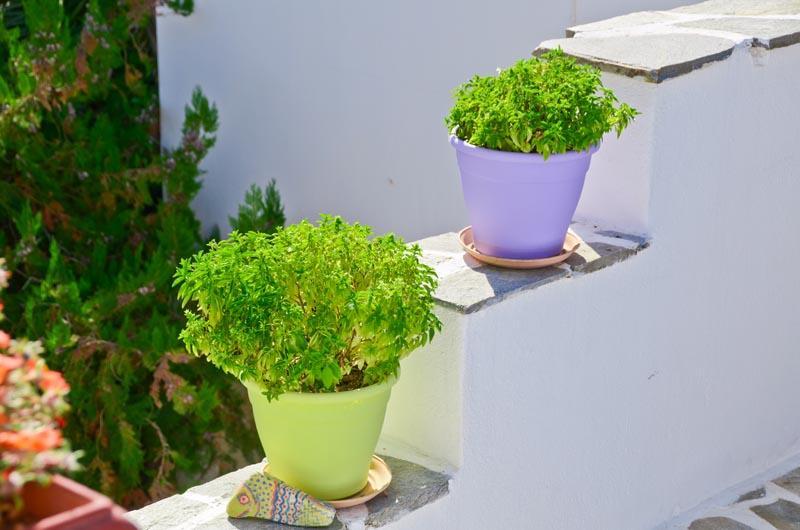 Sea View Studios Agia Anna