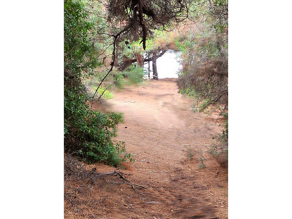 sentieri per il mare