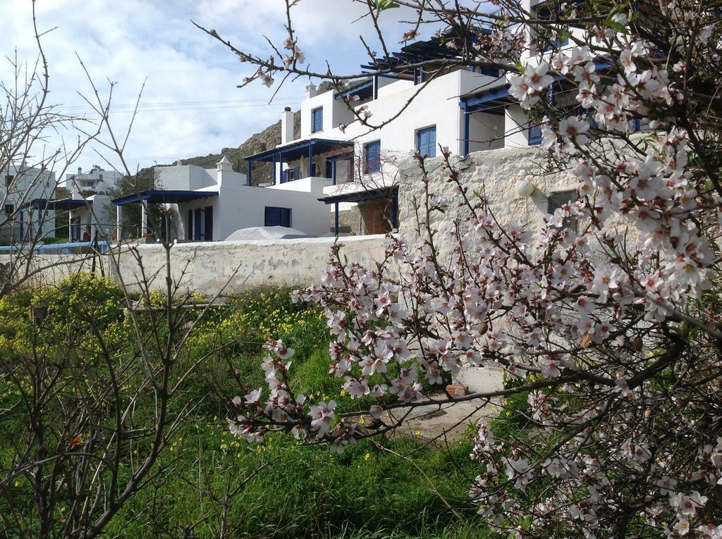 Maroussa's Apartments