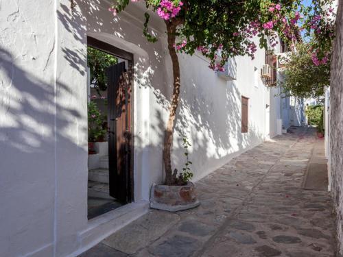 Traditional House Skopelos