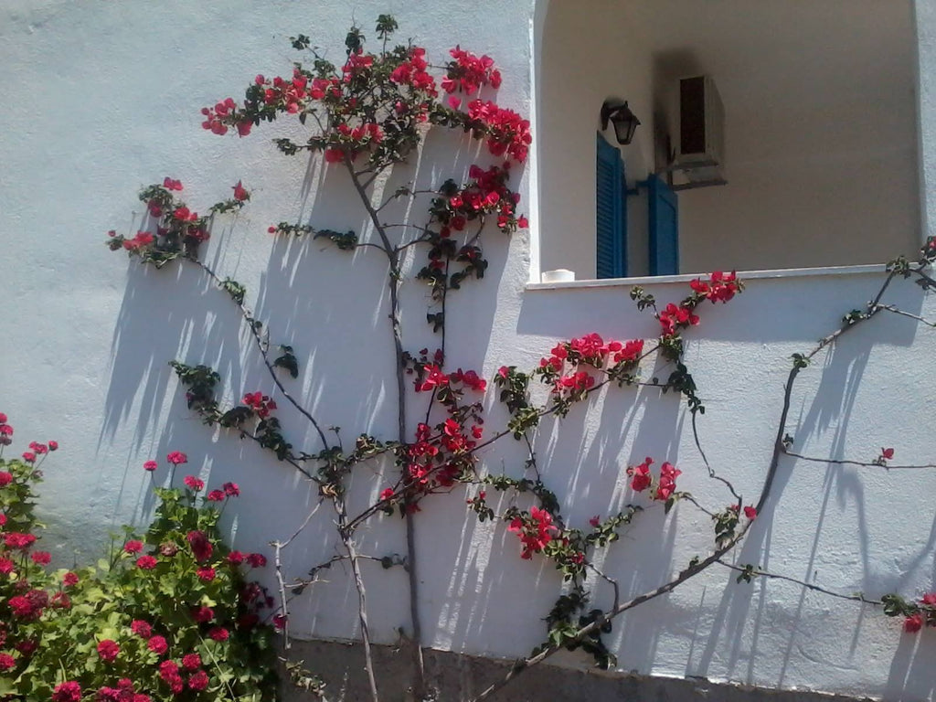 Studio Rena a Fourni