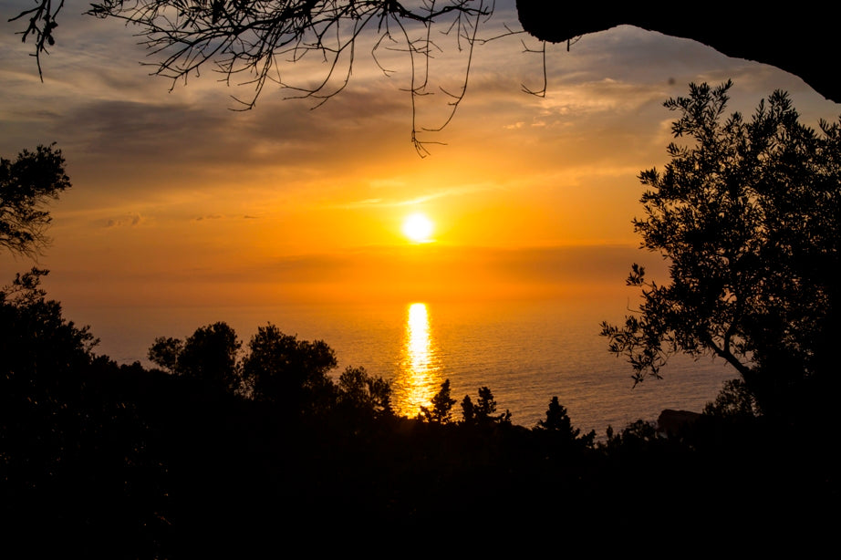 Antonis Studio Lakka