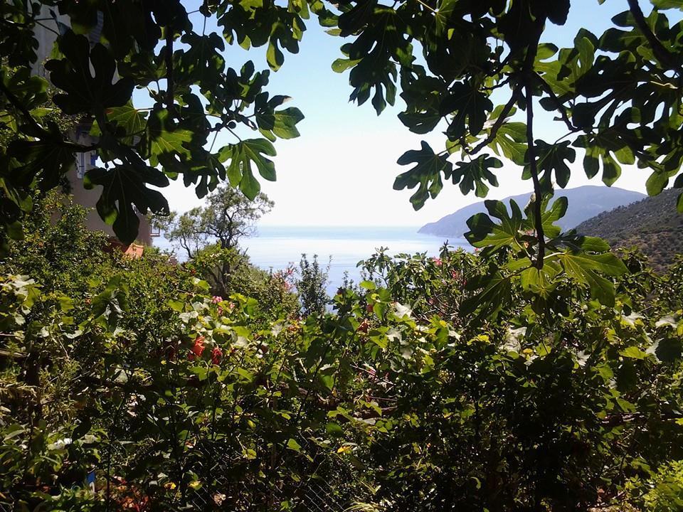 Chora - Villa Panayiota