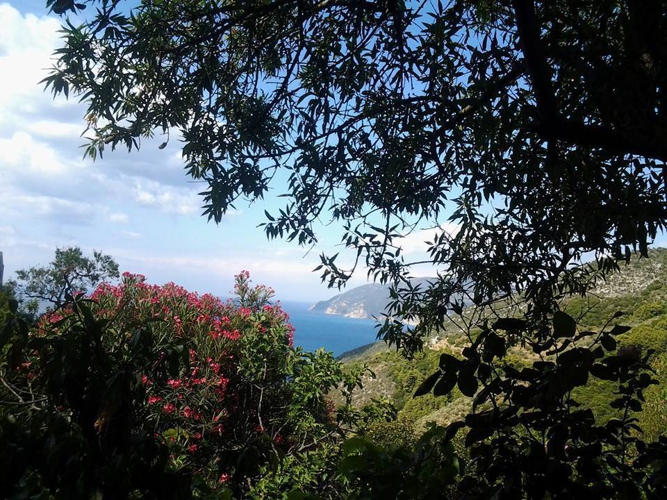 Chora - Villa Panayiota