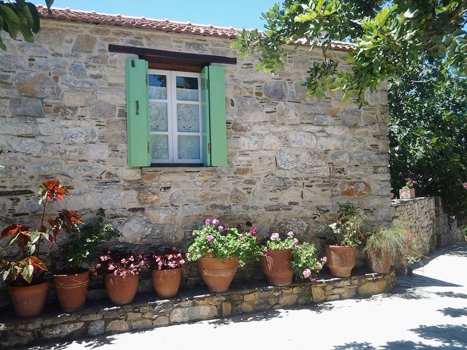 Chora - Villa Panayiota