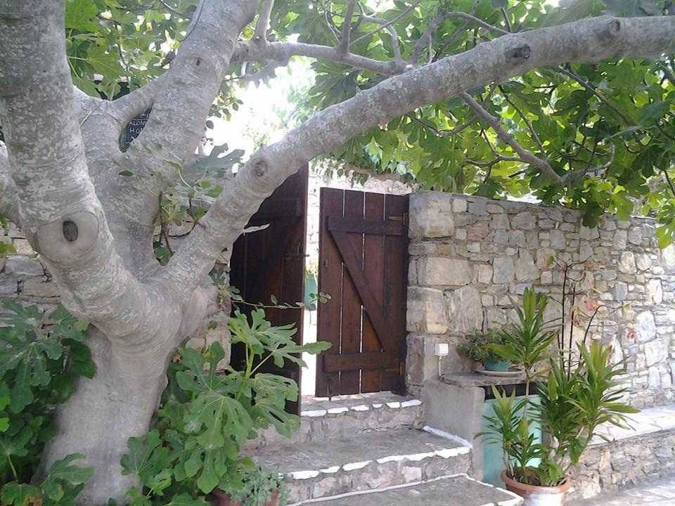 Chora - Villa Panayiota