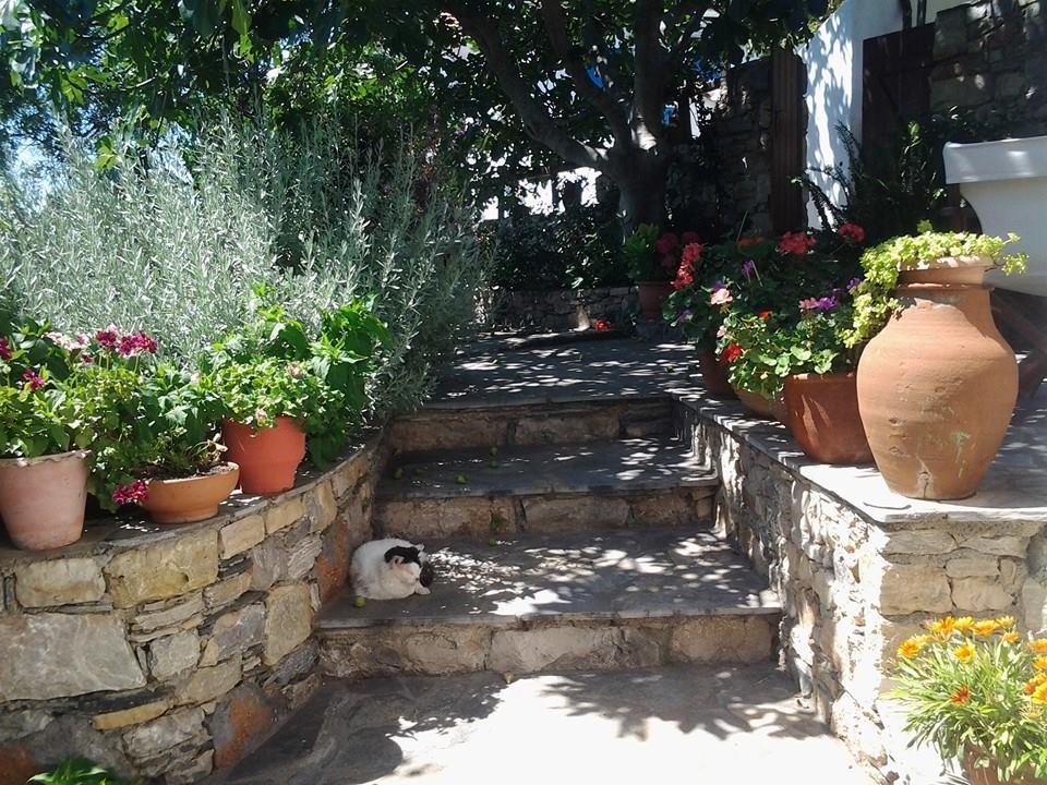 Chora - Villa Panayiota