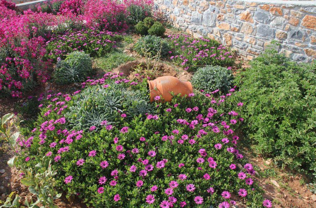 Meltemi Retreat Iraklia
