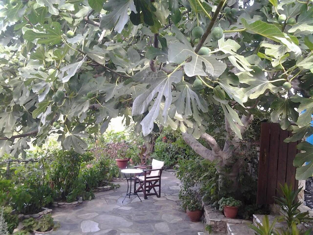 Chora - Villa Panayiota