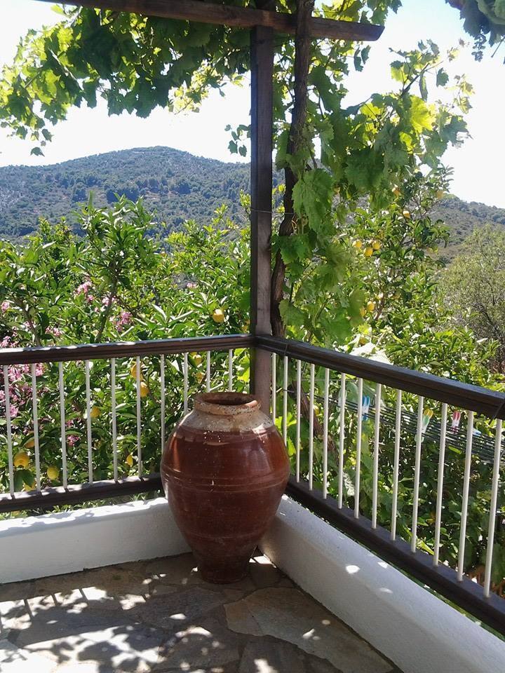 Chora - Villa Panayiota