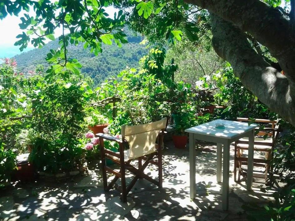 Chora - Villa Panayiota