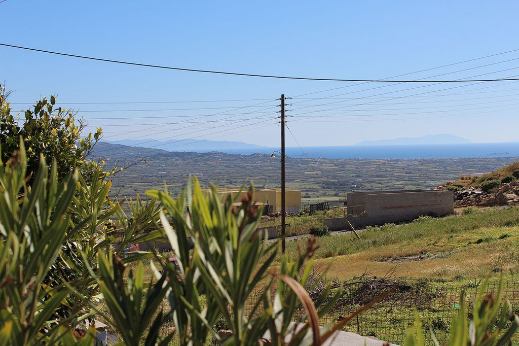 Villa of Roses Naxos
